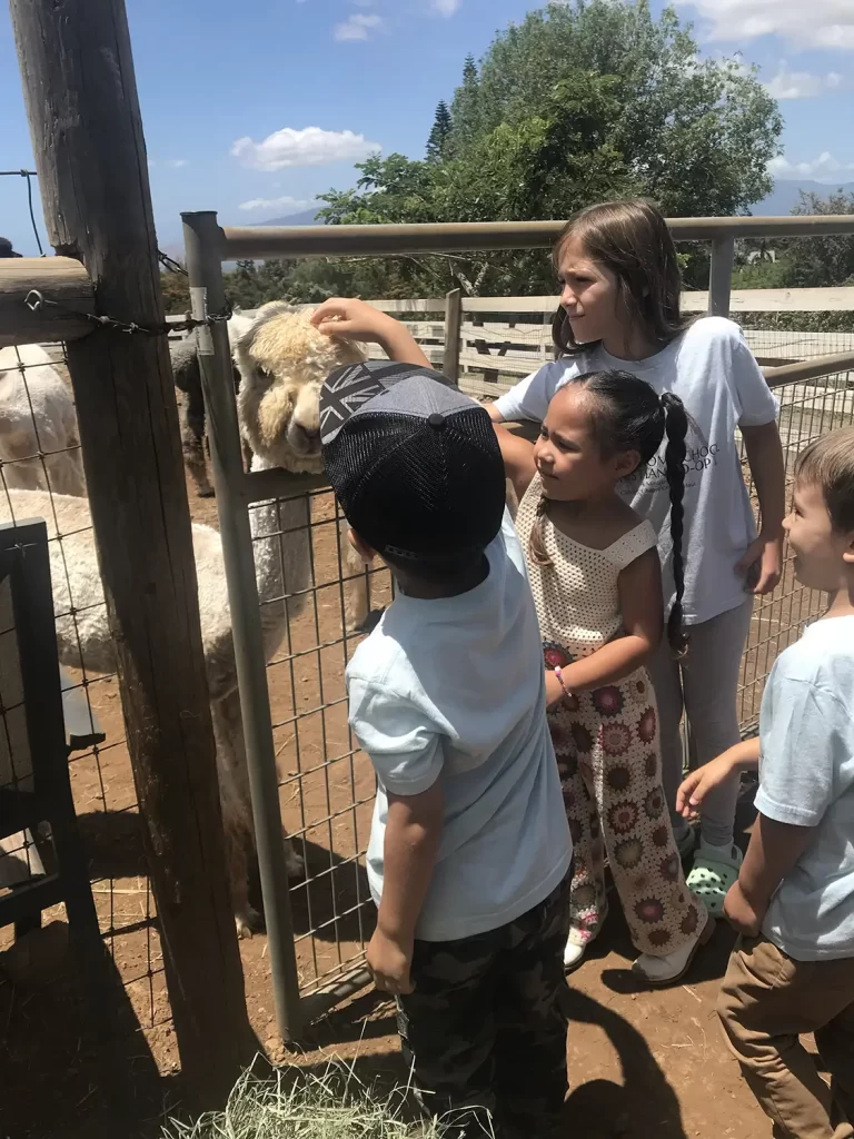 Homeschool coop 9