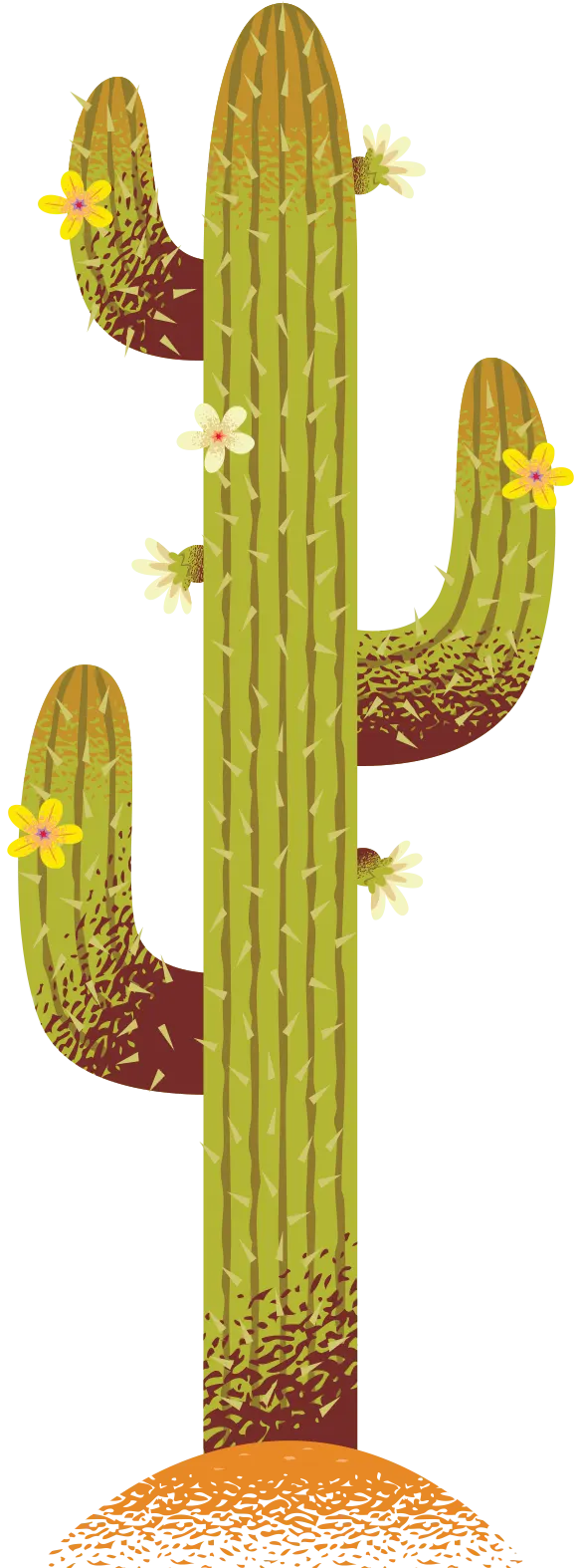 Cactus 1